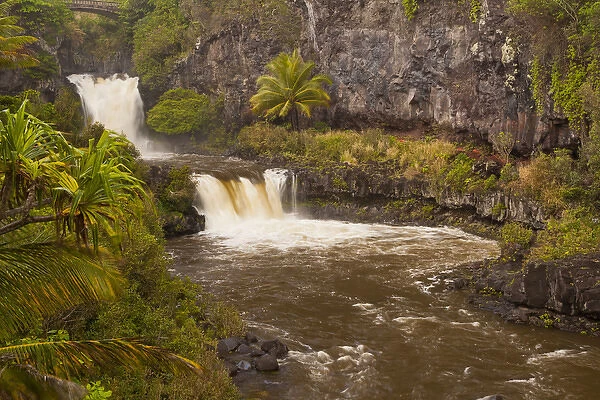 USA, Hawaii, Maui, Haleakala National Park. Ohe o Gulch and Seven Sacred Pools