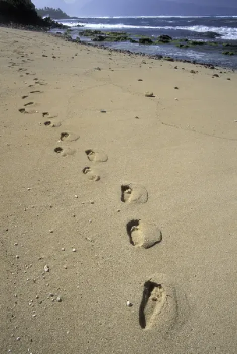 Framed Print : USA, Hawaii, Maui, Ho Okipa Beach Park Footprints in the sand