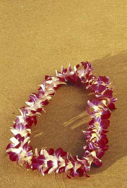 USA, Hawaii, Maui, Kihei Beach Vanda Miss Joaquim Orchid lei on beach