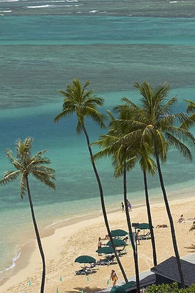 USA, Hawaii, Oahu, Honolulu, Waikiki, Fort DeRussy Beach and palm trees