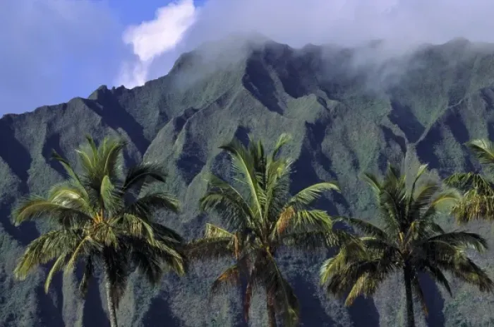 Framed Print : USA, Hawaii, Oahu, Pali Cliffs. The green and grey mottled crags of Pali Cliffs rise Framed Print : USA, Hawaii, Oahu, Pali Cliffs. The green and grey mottled crags of Pali Cliffs rise