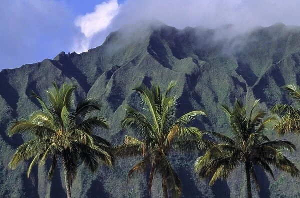 USA, Hawaii, Oahu, Pali Cliffs. The green and grey mottled crags of Pali Cliffs rise