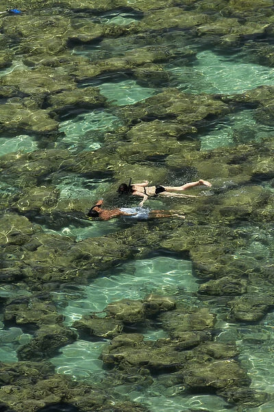 USA, Hawaii, Oahu, people snorkelling among coral reef at Hanauma Bay Nature Preserve