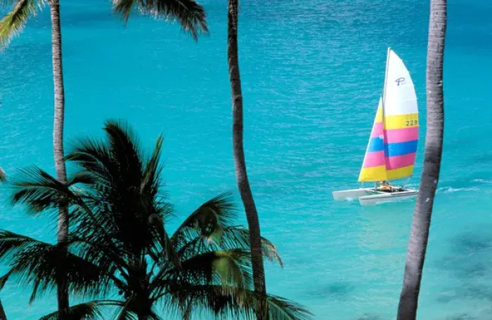Framed Print : USA, Hawaiian Islands. Palm trees and catamaran Framed Print : USA, Hawaiian Islands. Palm trees and catamaran