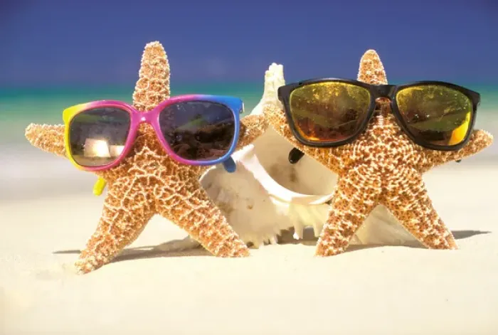 Framed Print : USA, Hawaiian Islands. Star fish with sunglasses Framed Print : USA, Hawaiian Islands. Star fish with sunglasses