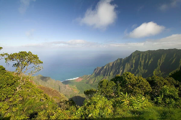 USA, HI, Kauai, Kokee State Park, View to Na Pali Coastline