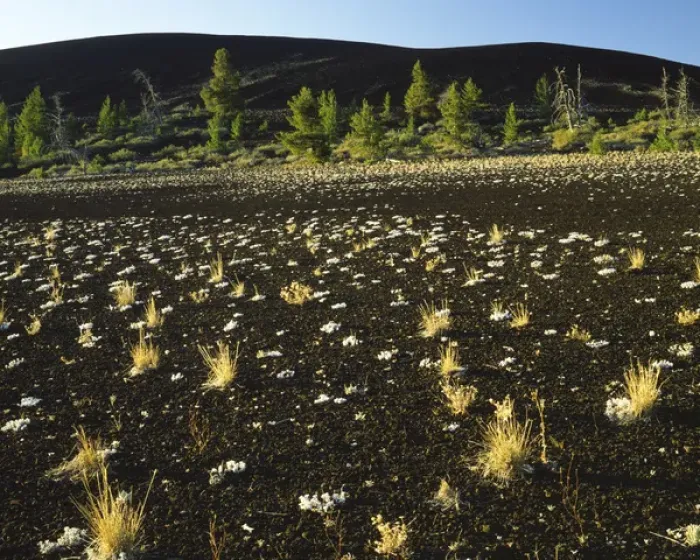 Framed Print : USA, Idaho, Craters of the Moon National Monument, Lava, Cinders and Limber Pine
