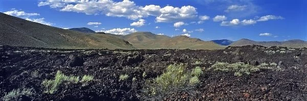 USA, Idaho, Craters of the Moon NM. Clumps of sagebrush grow even in the barren lava