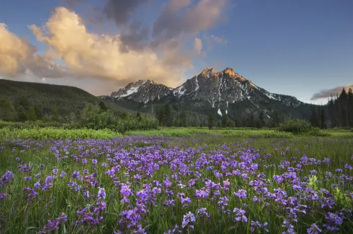 Framed Print : USA, Idaho. McGown Peak Sawtooth Mountains Framed Print : USA, Idaho. McGown Peak Sawtooth Mountains