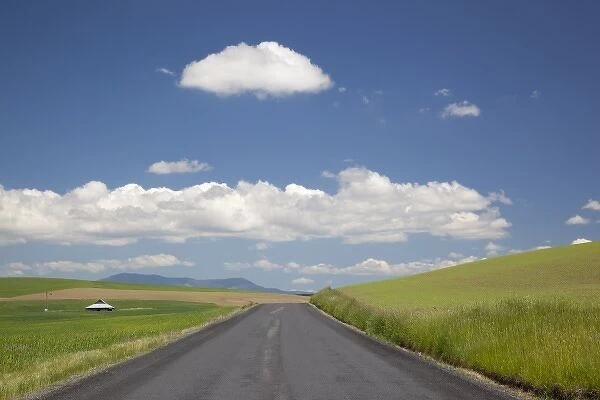 USA, Idaho, The Palouse, Latah County, Road, Old barn, farmland, and clouds