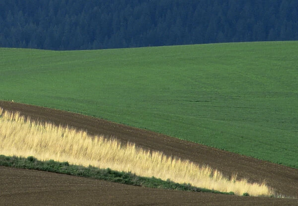 USA, Idaho, Potlatch. Patterns in agricultural fields. Credit as: Dennis Flaherty