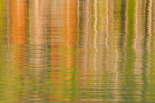 USA, Idaho. Reflections on Redfish Lake. Credit as: Don Paulson  /  Jaynes Gallery  /  DanitaDelimont