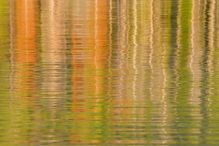 Framed Print : USA, Idaho. Reflections on Redfish Lake. Credit as: Don Paulson / Jaynes Gallery / DanitaDelimont Framed Print : USA, Idaho. Reflections on Redfish Lake. Credit as: Don Paulson / Jaynes Gallery / DanitaDelimont