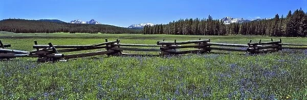 USA, Idaho, Sawtooth NRA. A split-rail fence divides a wildflower meadow in Sawtooth NRA, Idaho