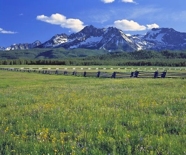 USA, Idaho, Sawtooth NRA. A split-rail fence marks a meadow of wildflowers with the