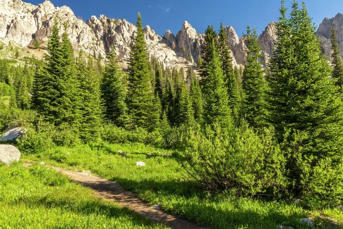 Framed Print : USA, Idaho, Sawtooth Wilderness. Trail in mountain and valley landscape