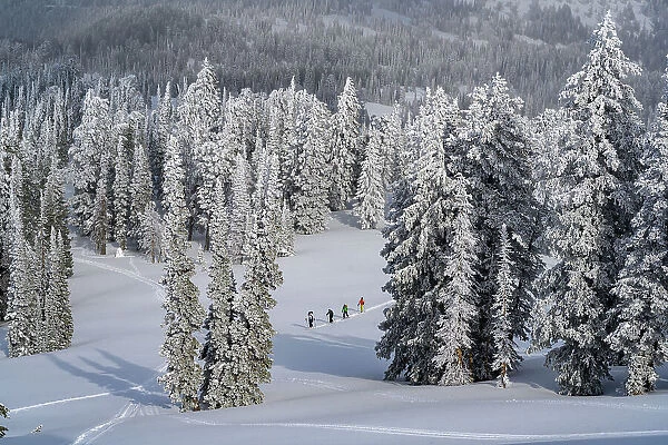 USA, Idaho. Four skiers climbing on trail near Bear Lake