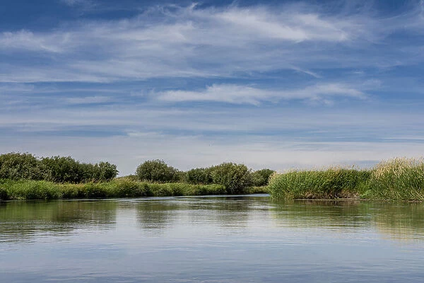 USA, Idaho. Teton River, willows and wetland near Driggs