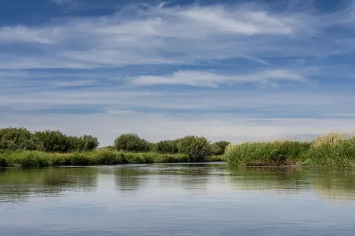Framed Print : USA, Idaho. Teton River, willows and wetland near Driggs Framed Print : USA, Idaho. Teton River, willows and wetland near Driggs