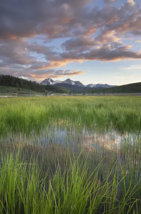 Framed Print : USA, Idaho. Wetlands in Stanley Basin, Sawtooth Mountains