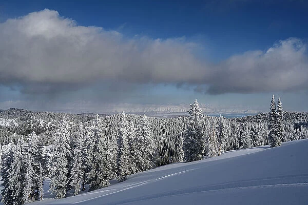 USA, Idaho. Winter landscape near Bear Lake