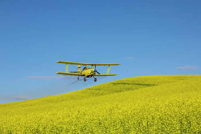 Framed Print : USA, Idaho. Yellow crop duster spraying over canola field. (Editorial Use Only) Framed Print : USA, Idaho. Yellow crop duster spraying over canola field. (Editorial Use Only)