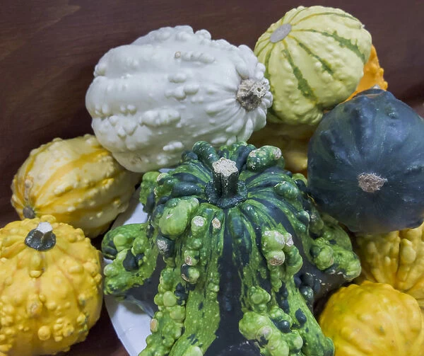 USA, Indiana, Indianapolis. Close-up of gourds