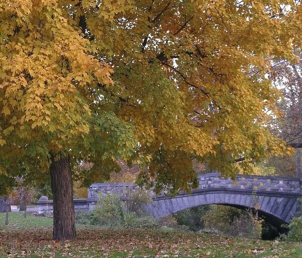 USA, Indiana, Indianapolis. Fall foliage at Garfield park