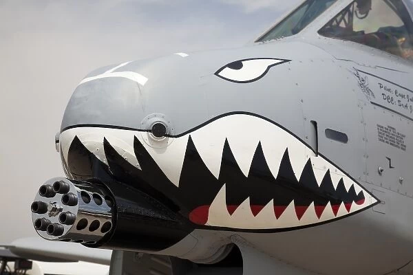 USA, Indiana, Indianapolis, Mount Comfort Airport. Front of an A-10 Thunderbolt II