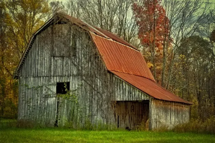 Framed Print : USA, Indiana. rural landscape, vine-covered barn with red roof Framed Print : USA, Indiana. rural landscape, vine-covered barn with red roof