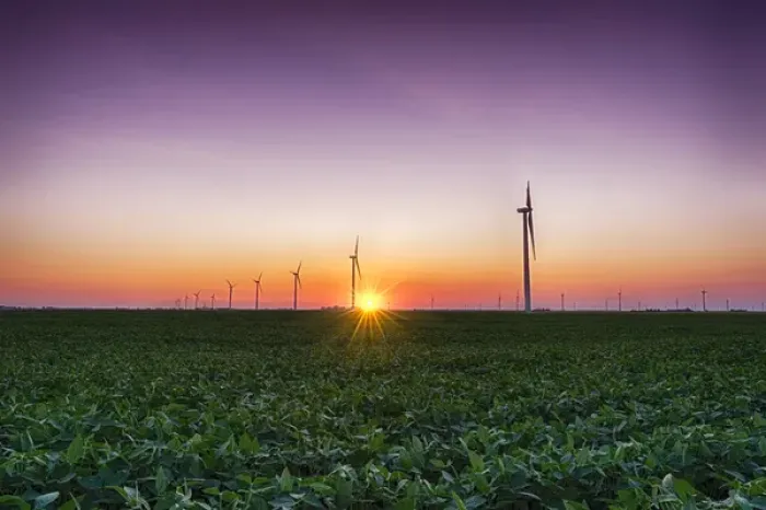 Framed Print : USA, Indiana. Soybean field and wind farm at sundown