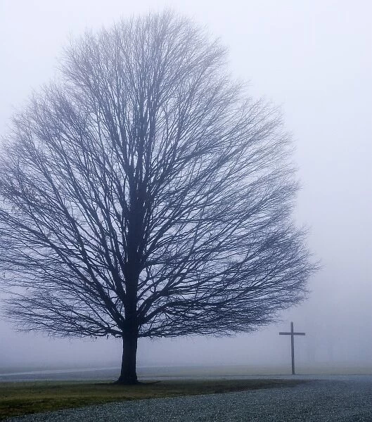 USA, Indiana, Westfield. Tree and Christian cross on a foggy winter day