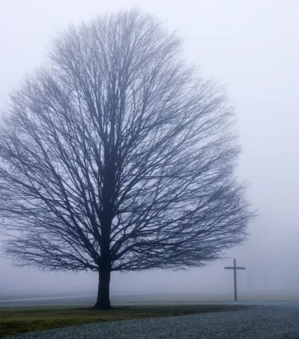 Framed Print : USA, Indiana, Westfield. Tree and Christian cross on a foggy winter day