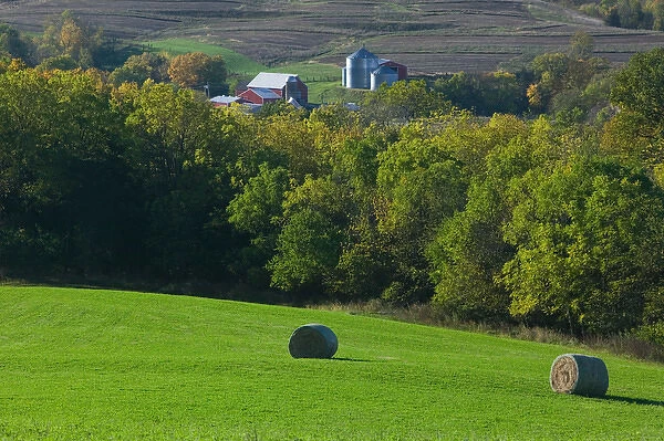 USA-IOWA-Rickardsville: Farm  /  Field along Rt. 52  /  Northeast Iowa