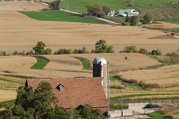 USA-IOWA-Rickardsville: Farm  /  Field along Rt. 52  /  Northeast Iowa
