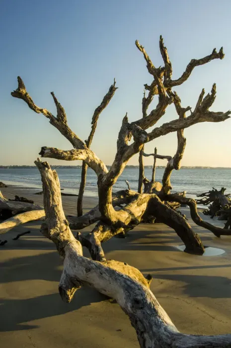 Framed Print : USA, Jekyll Island Framed Print : USA, Jekyll Island