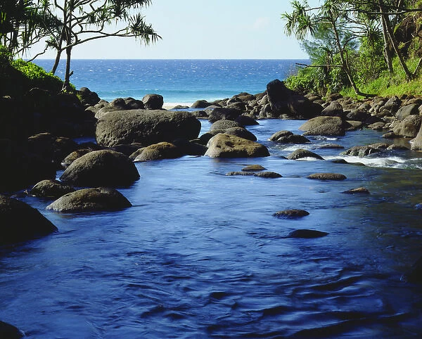 USA; Kauai Hawaii; A Fresh water stream on the Na Pali coast