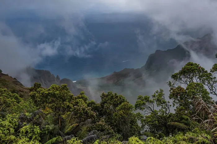 Framed Print : USA, Kauai, Hawaii. Lush vegetation, sea cliffs and ocean at Koke'e State Park Framed Print : USA, Kauai, Hawaii. Lush vegetation, sea cliffs and ocean at Koke'e State Park