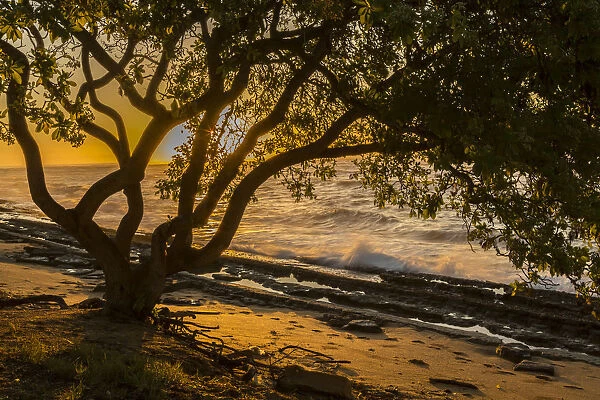 USA, Kauai, Wawalohi Beach Park. Sunset on ocean beach and trees