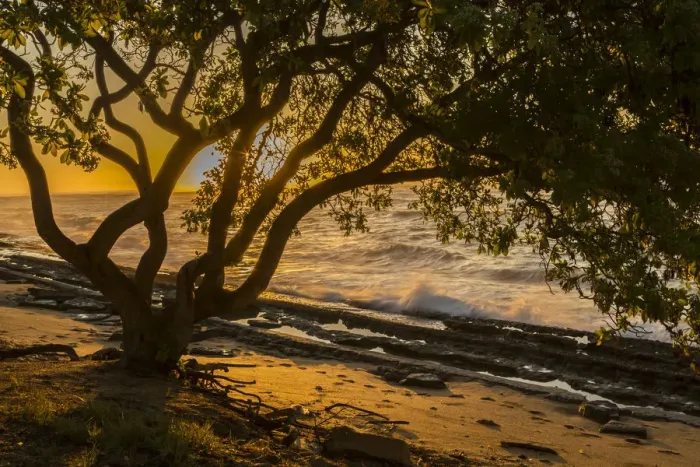 Framed Print : USA, Kauai, Wawalohi Beach Park. Sunset on ocean beach and trees Framed Print : USA, Kauai, Wawalohi Beach Park. Sunset on ocean beach and trees
