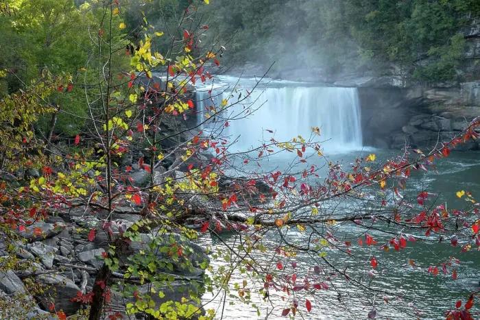 Framed Print : USA, Kentucky. Cumberland Falls behind Fall foliage