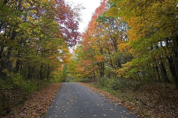 USA - Kentucky. Fall color along road to Big Black Mountain (highest point of Kentucky)