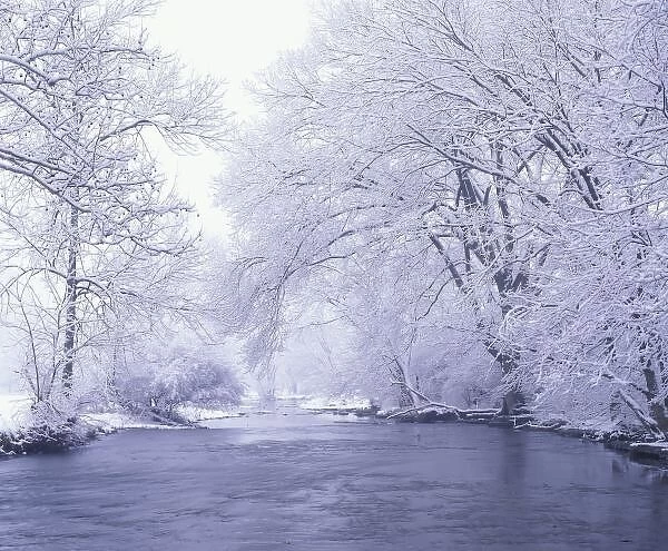 USA, Kentucky, Louisville. Snow covered branches overhanging Beargrass Creek