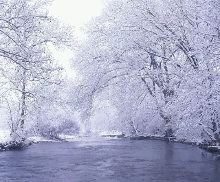 Framed Print : USA, Kentucky, Louisville. Snow covered branches overhanging Beargrass Creek Framed Print : USA, Kentucky, Louisville. Snow covered branches overhanging Beargrass Creek