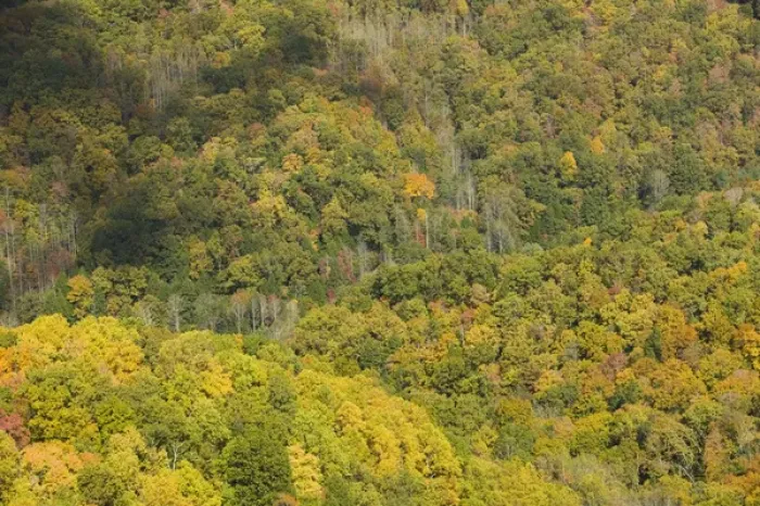 Framed Print : USA-Kentucky-Oven Fork: Autumn View of the Appalachian Mountains Framed Print : USA-Kentucky-Oven Fork: Autumn View of the Appalachian Mountains