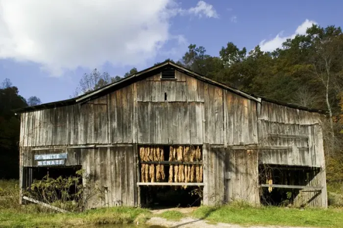 Framed Print : USA-Kentucky-Pine Ridge: Tobacco Drying Shed along Bert Coombs Mountain Parkway Framed Print : USA-Kentucky-Pine Ridge: Tobacco Drying Shed along Bert Coombs Mountain Parkway