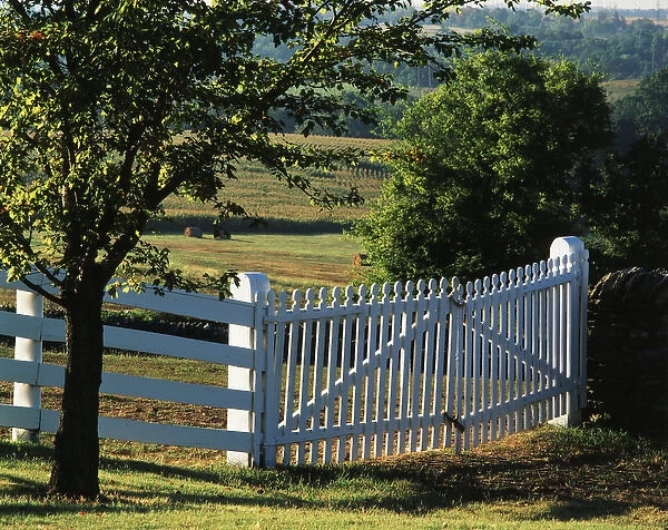 USA, Kentucky, Pleasant Hill, White Shaker fence
