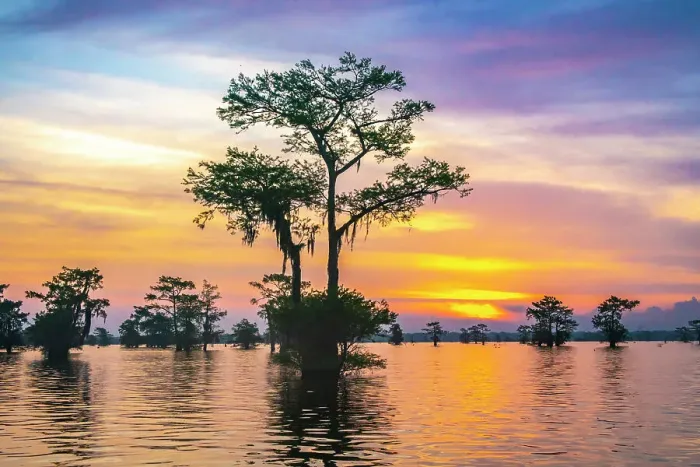 Framed Print : USA, Louisiana, Atchafalaya Basin, Atchafalaya Swamp. Cypress trees reflect on at sunrise Framed Print : USA, Louisiana, Atchafalaya Basin, Atchafalaya Swamp. Cypress trees reflect on at sunrise