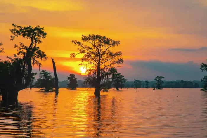 Framed Print : USA, Louisiana, Atchafalaya Basin, Atchafalaya Swamp. Cypress trees reflect on at sunrise