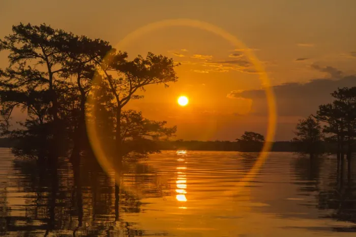 Framed Print : USA, Louisiana, Atchafalaya National Wildlife Refuge. Sunrise on swamp. Credit as Framed Print : USA, Louisiana, Atchafalaya National Wildlife Refuge. Sunrise on swamp. Credit as